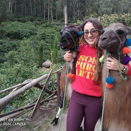 Hostal Killa Llullu Quito Luaran gambar