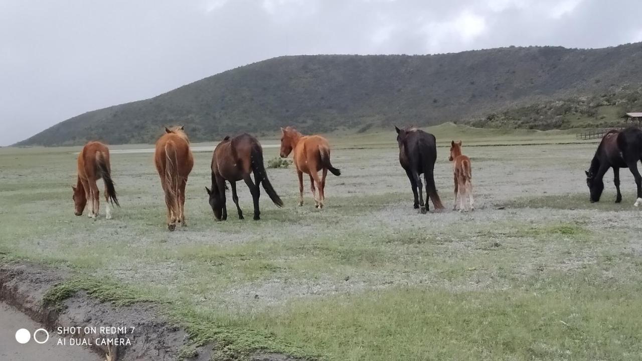 Hostal Killa Llullu Quito Luaran gambar